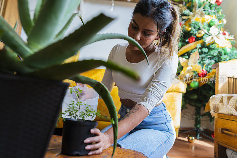 一位拉丁妇女在她房子的客厅里照顾她美丽的植物，确保它们不缺肥料或水