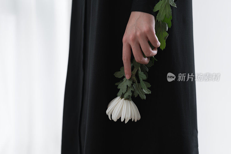 手里捧着一朵白色的菊花