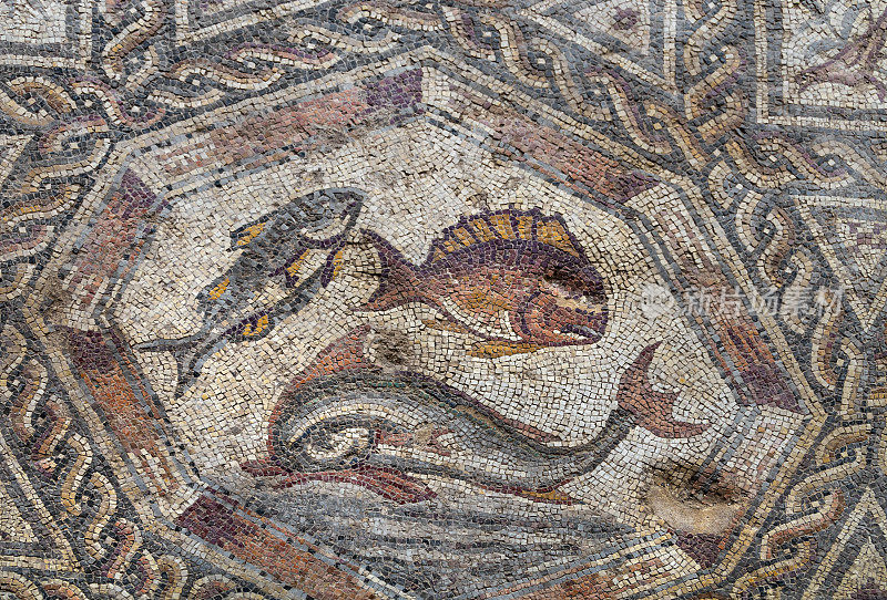 在以色列Lod镇著名的罗马马赛克地板上的鱼，在谢尔比·怀特和利昂·列维Lod马赛克中心展出。马赛克描绘了陆地动物、鱼类和两艘罗马船只。