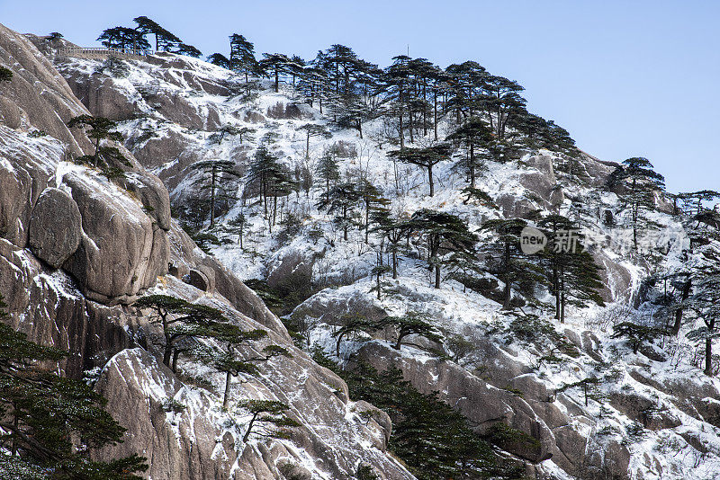 中国黄山的冬季景观