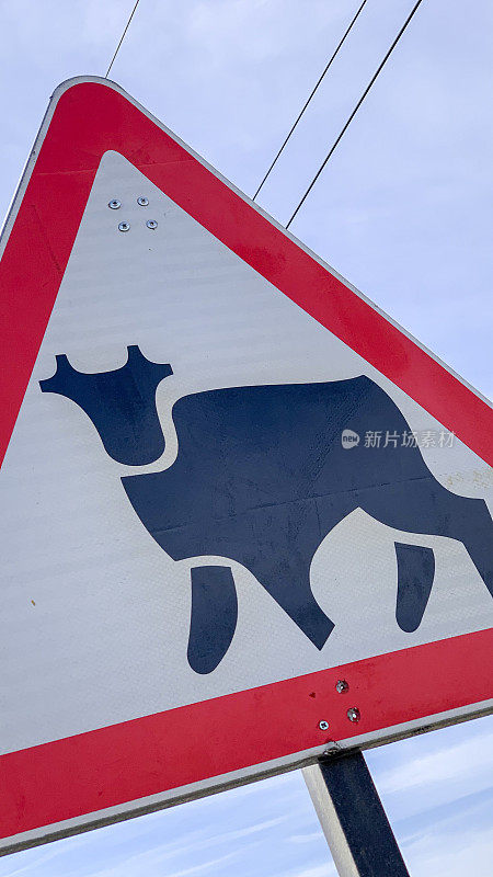 一个有动物的路标。路牌上有家牛。有牛的路标