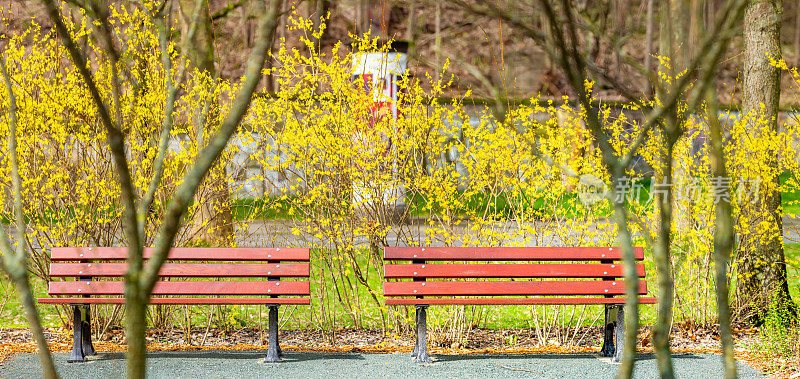 公园里的新长椅迎接春天