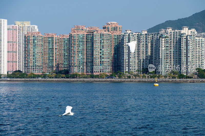 香港马鞍山吐露港的住宅大厦