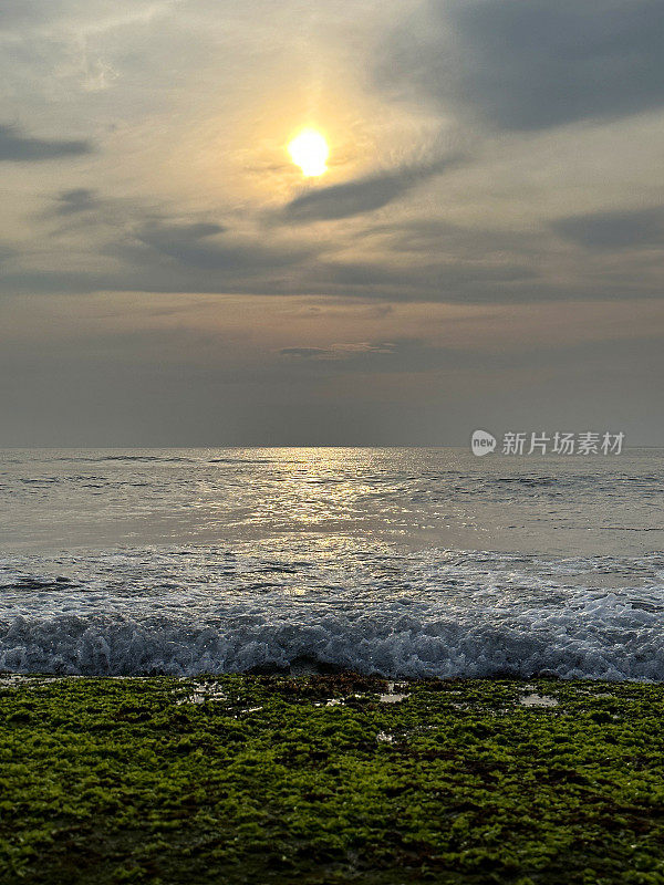 海边橙色的太阳映照在海面上，泡沫海浪在岸边破碎，绿藻和海藻覆盖岩石，岩石潮汐池，潮汐反射，太阳落在涟漪的水面上，复制空间