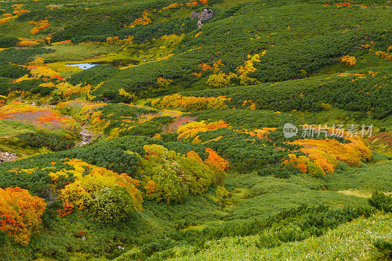 日本北海道，朝日的秋色