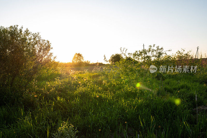 白俄罗斯维捷布斯克地区的浪漫风景