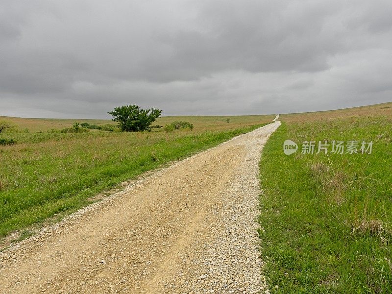 在堪萨斯州高草草原保护区的美国野牛放牧地，砾石路一直延伸到远处