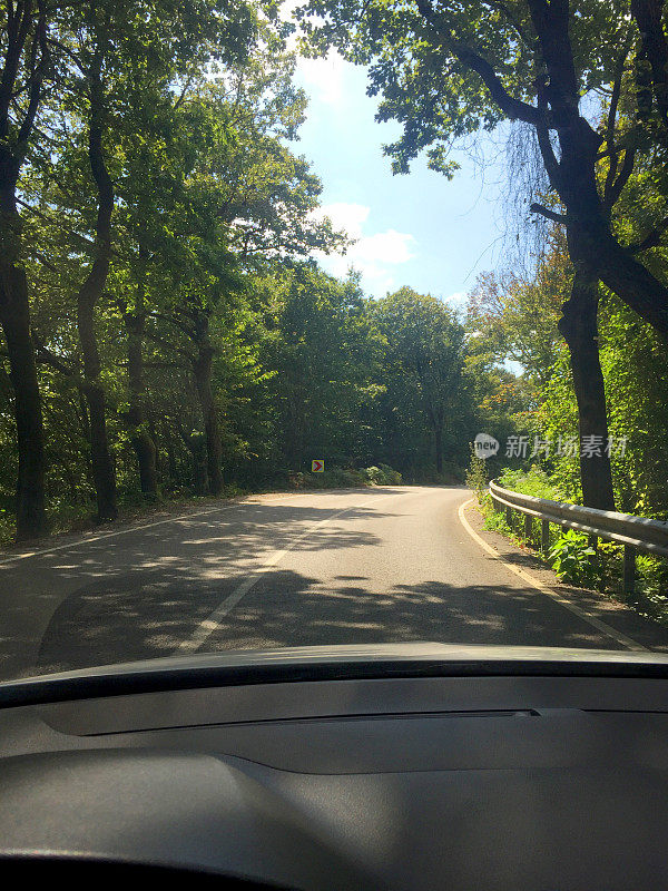 在森林和乡村道路上行驶