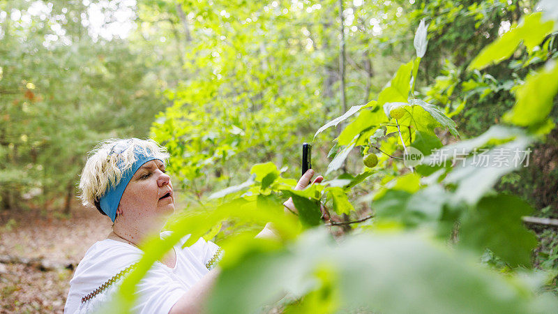 观察瘿蜂:一名妇女在探索大自然的旅途中捕捉橡树叶