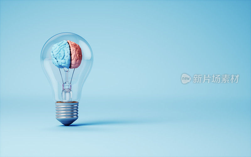 浅蓝色背景下灯泡对人脑左右叶的解剖