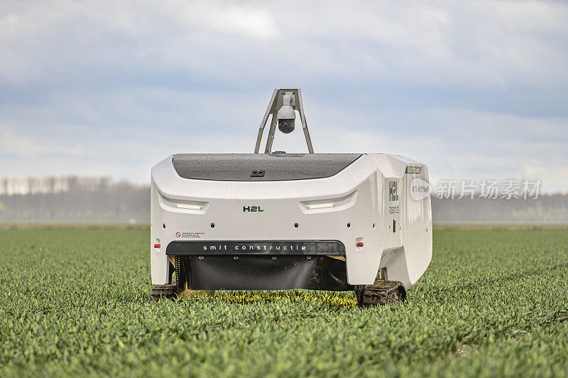 农业人工智能机器人在郁金香地里驾驶