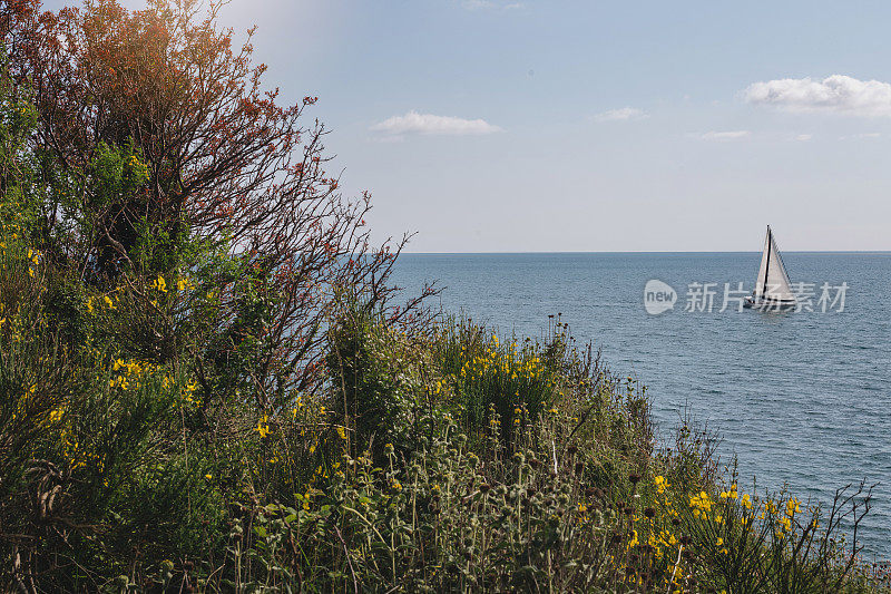 夏天的一天，在海上航行的帆船