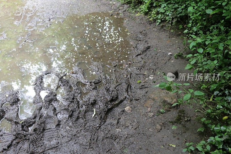 倾盆大雨过后，被水浸透的乡间小路上满是水坑，泥泞的靴子和脚印留在泥泞中