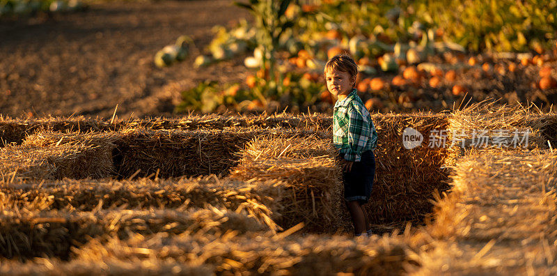 一个小男孩在南瓜地里玩干草迷宫