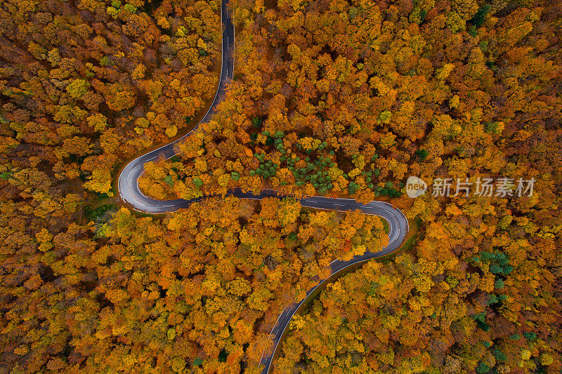 空中公路旅行曲折的乡村道路穿过秋天的彩色森林