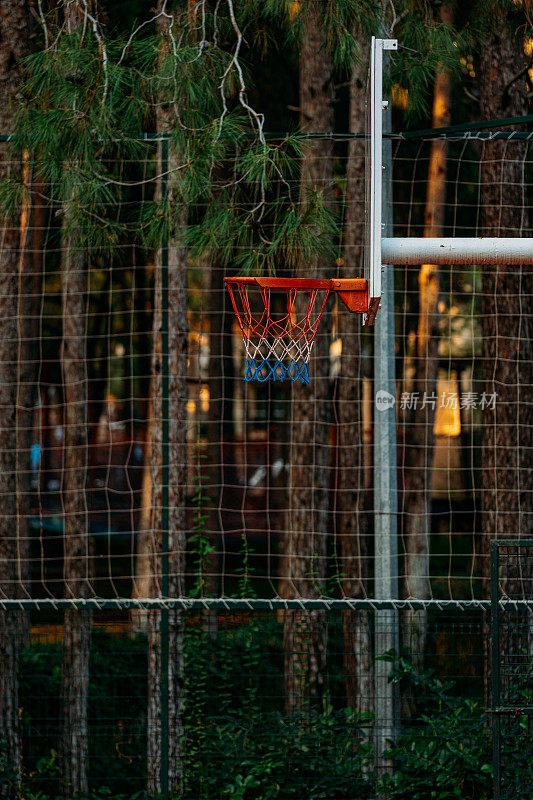 森林里的篮球场