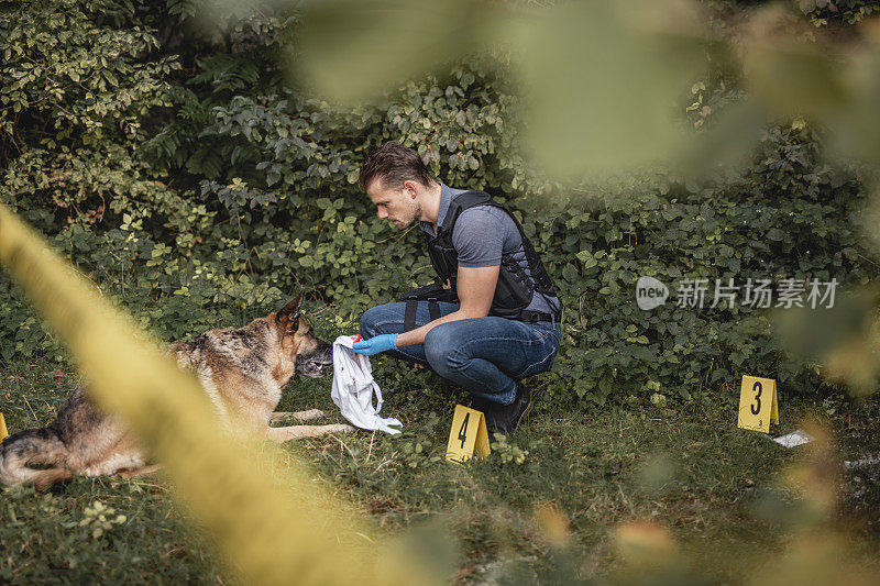 林地地区的犯罪现场调查员和警犬