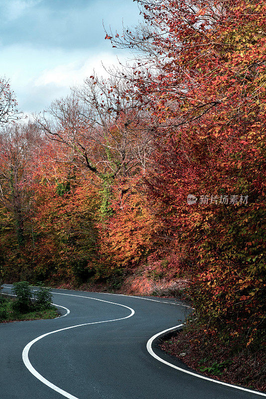 秋天蜿蜒的山路穿过一片森林