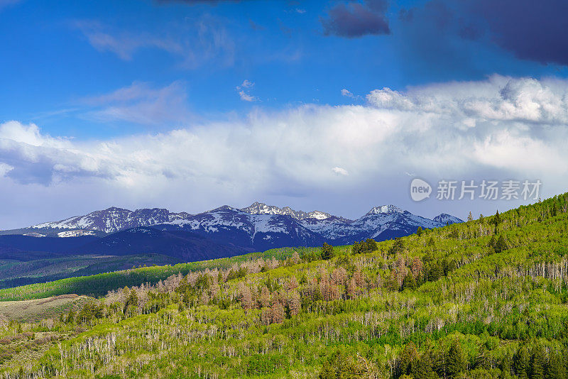 Sawatch夏天的观点