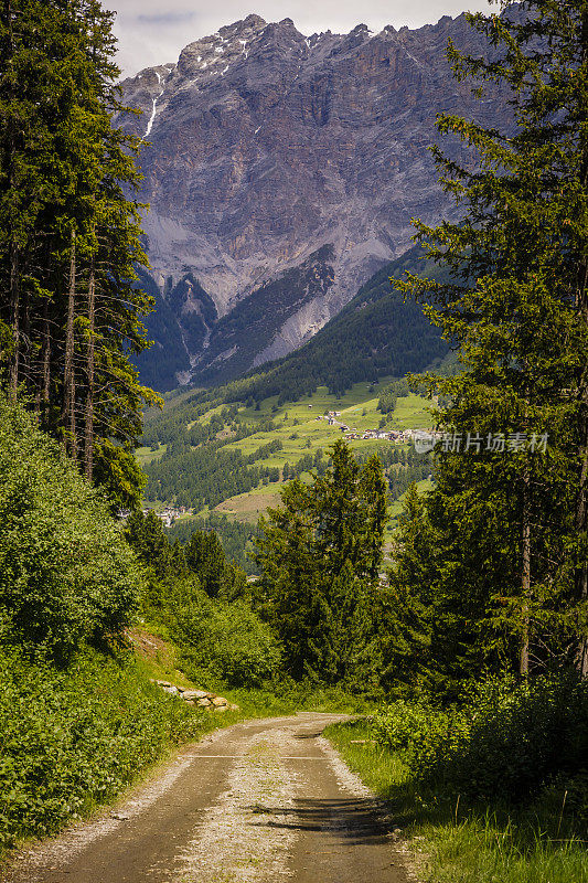意大利多洛米特，阿达梅洛迪布伦塔，圣卡特琳娜附近的阿尔卑斯乡村公路