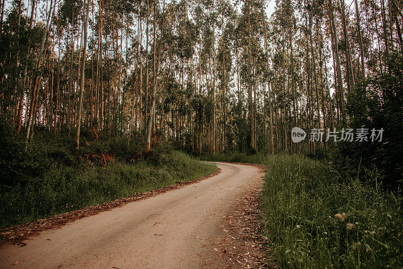 穿过自然区域的道路