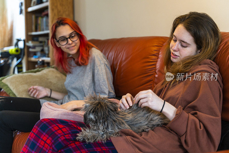 两个十几岁的女孩，姐妹，抱着一只小狗玩具水坑狗坐在沙发上。
