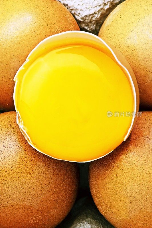 蛋黄和蛋壳