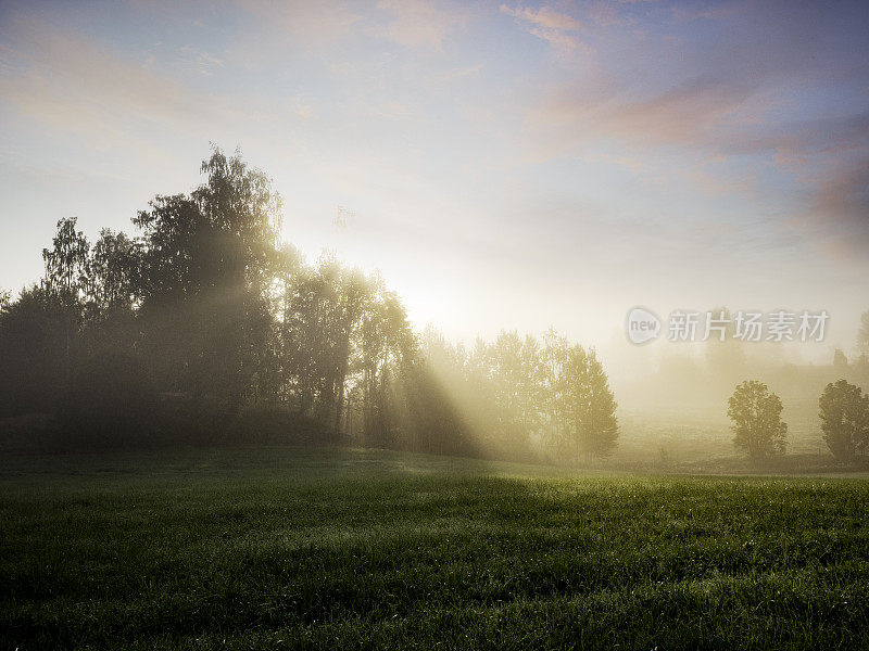 夏日清晨的田野和薄雾笼罩着美丽的瑞典风景