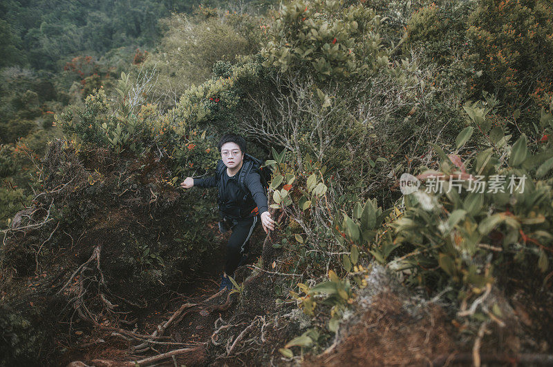 亚洲华人女性徒步旅行者探索苔藓森林在卡梅伦高地散步