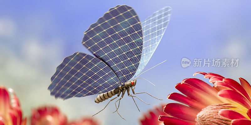微型机器人蝴蝶与太阳能电池板翅膀飞近花
