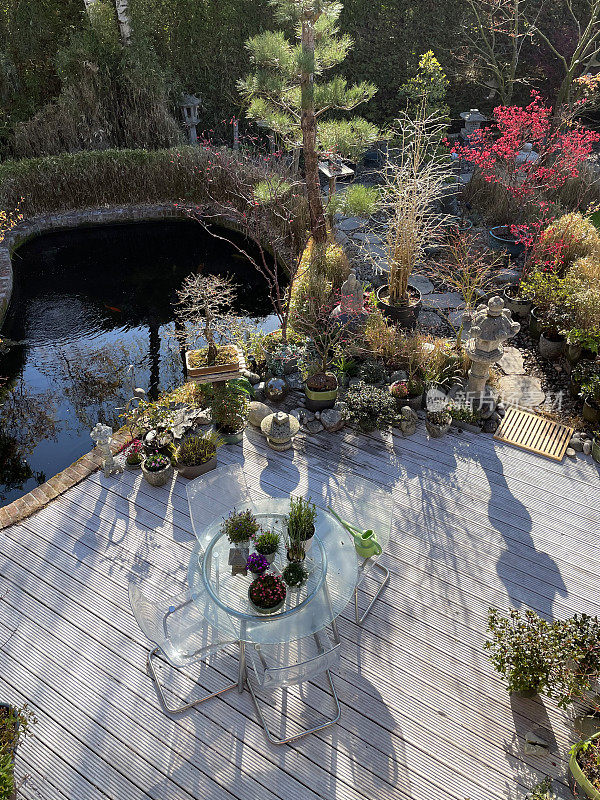 花园装饰的图像与枫树池，日本石灯笼和花园雕像装饰品，白色洗涤，槽硬木木材甲板，高架的观点
