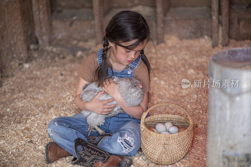 年轻女孩与她的母鸡和农场新鲜鸡蛋