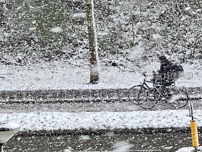 大雪期间的交通状况