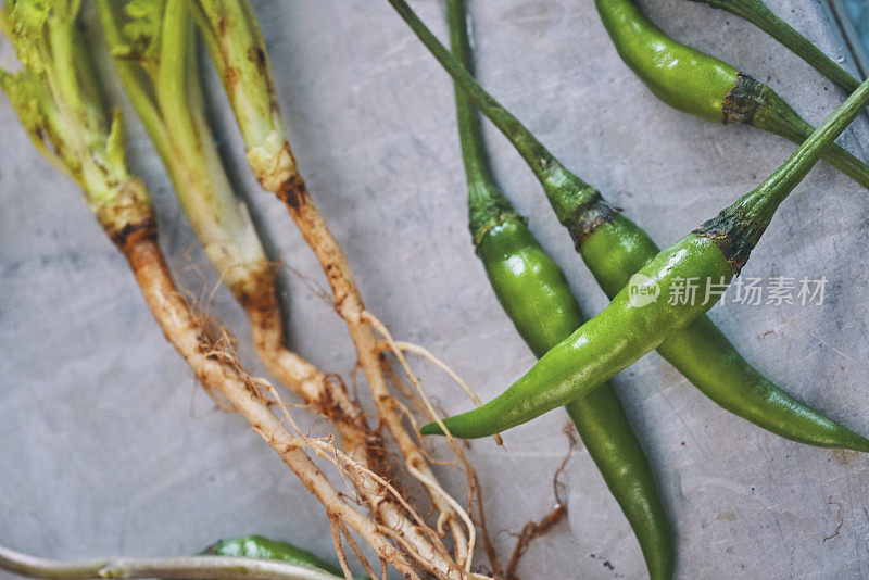 亚洲蔬菜，如白菜，蘑菇，泰国茄子和莲藕