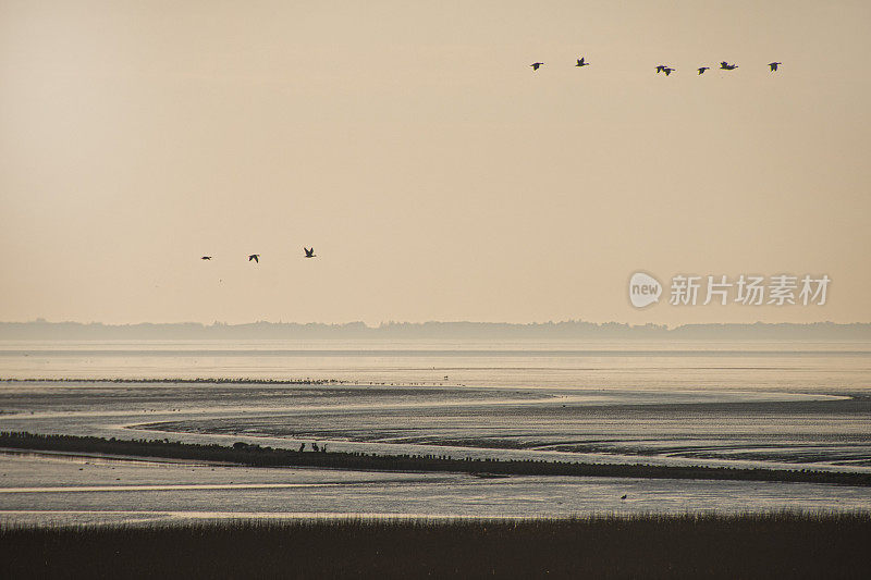 丹麦西南海岸的瓦登海