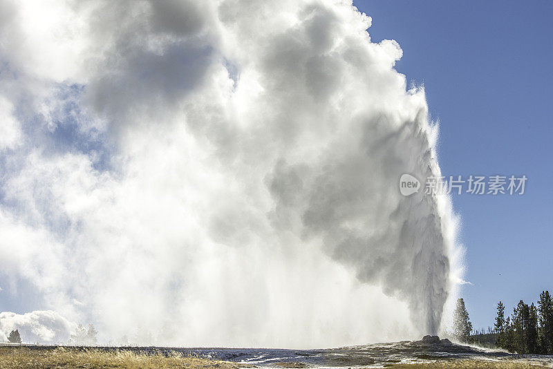 黄石国家公园上间歇泉盆地的老忠实间歇泉。喷出大量蒸汽。