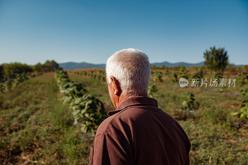 他是这个领域的元老