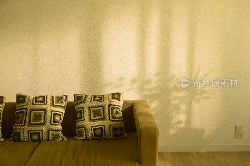 客厅里有沙发，墙上有盆栽的阴影