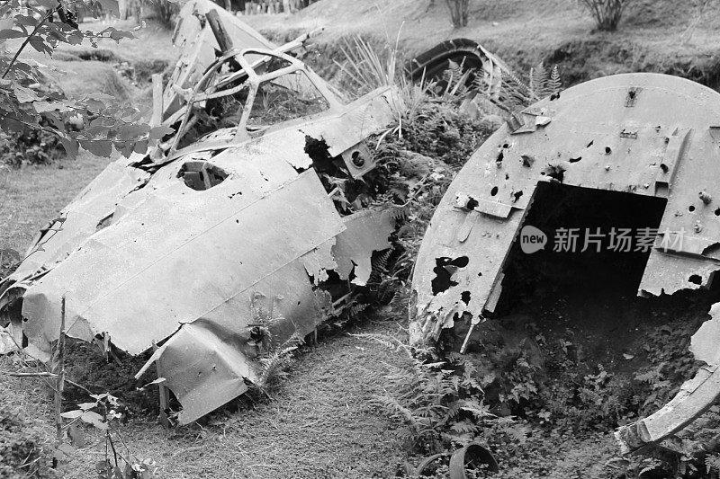 巴布亚新几内亚的一架二战飞机残骸