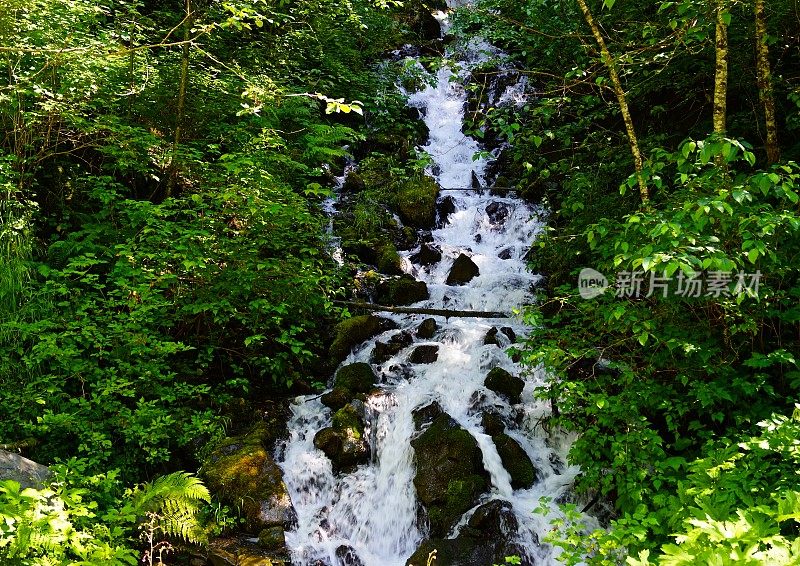 贝克野溪山