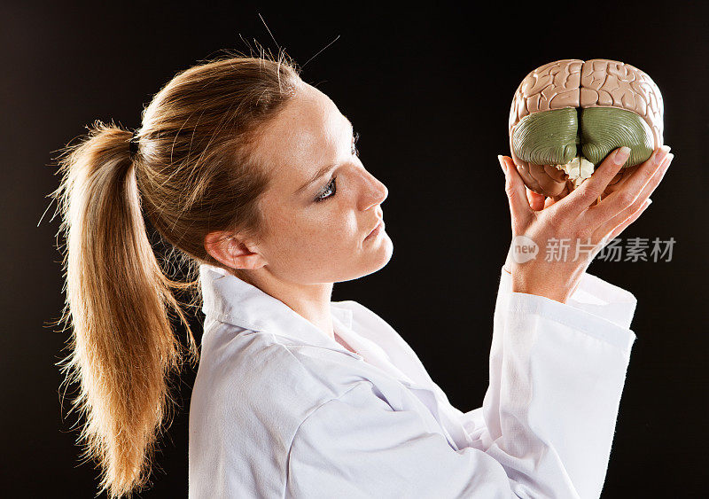 年轻女性医学专业人士认真地研究模型大脑