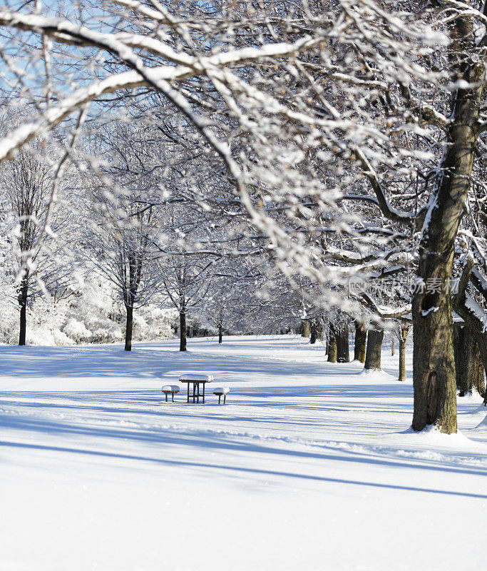 冬季暴风雪自然公园野餐桌