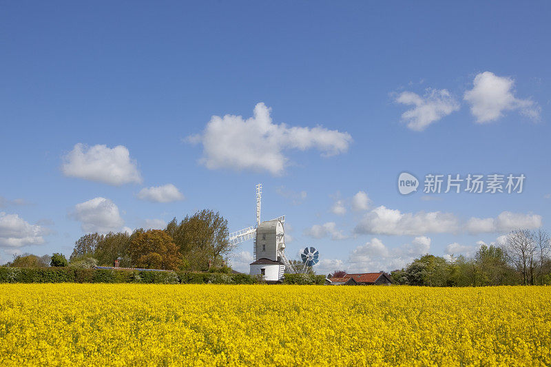 萨克斯德绿色风车在萨福克，英格兰