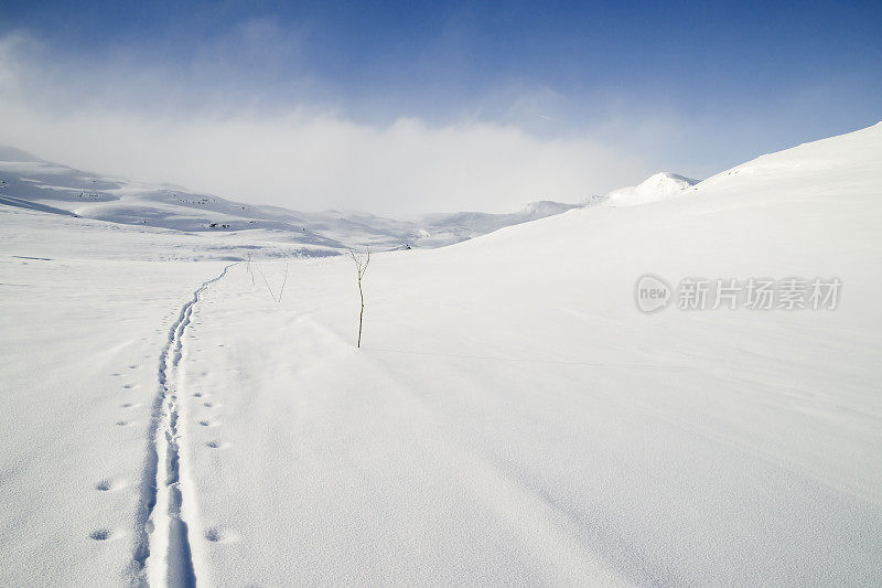 挪威的滑雪道