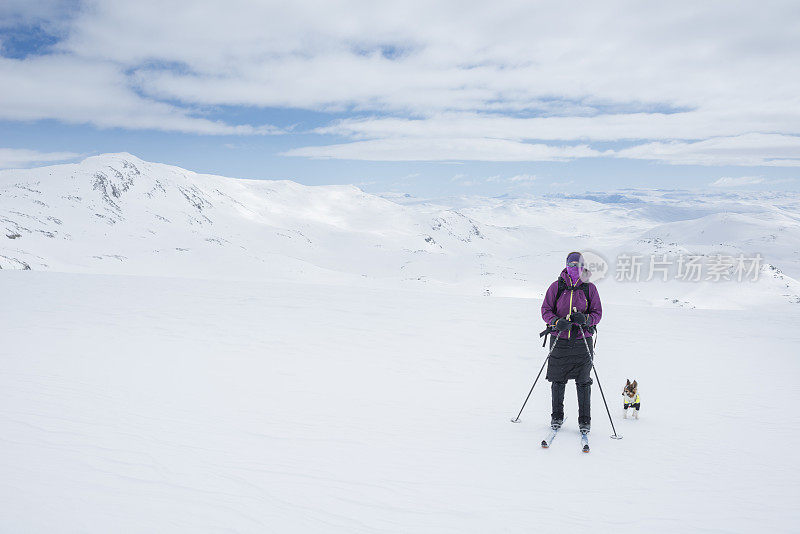 女性越野滑雪和狗在高海拔
