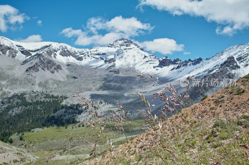 法国格拉斯阿尔卑斯山的高山景观