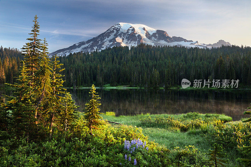 反射湖的雷尼尔山