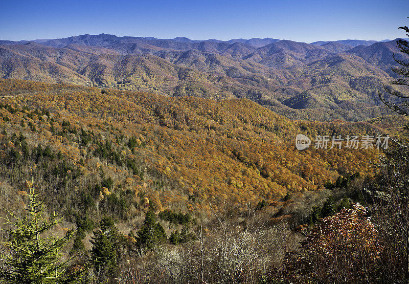 水岩旋钮视点，蓝岭公园路，美国北卡罗来纳州