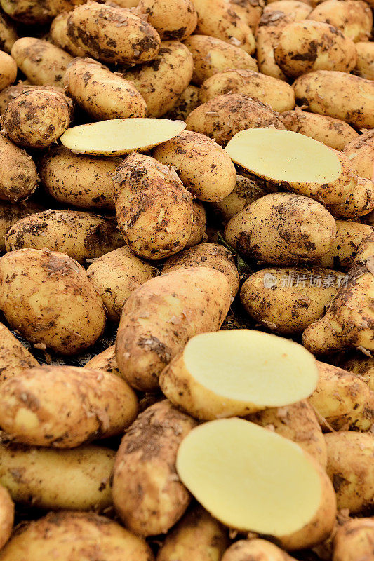 新收获的土豆