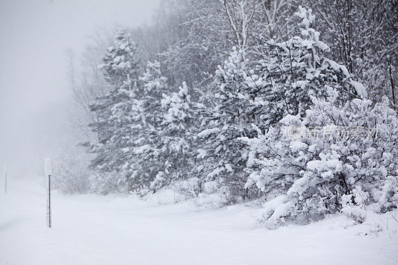 冬天的路在下雪